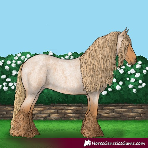 Horse Color:Red Roan 