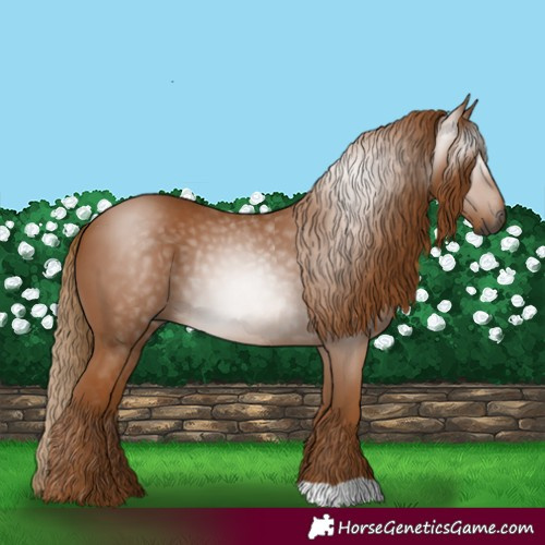 Horse Color:Gray Chestnut 