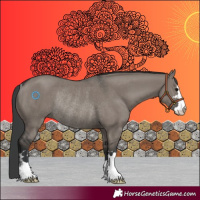 Horse Color:Grullo Rabicano 
