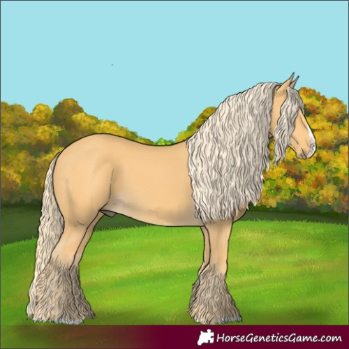 Horse Color:Palomino Splash 