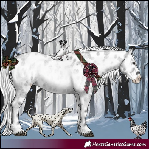 Horse Color:Silver Blue Onyx Chinchilla Roan Near Leopard 