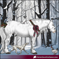 Horse Color:Silver Blue Onyx Chinchilla Roan Appaloosa 
