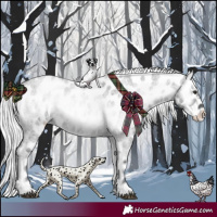 Horse Color:Silver Blue Onyx Chinchilla Roan Appaloosa