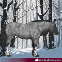 Horse Color:Blue Roan  and Blue Roan 