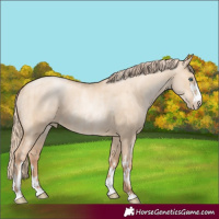 Horse Color:Gold Champagne Pearl Dun Rabicano  and Gold Champagne Pearl Dun Rabicano 