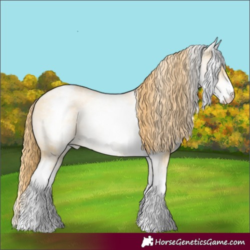 Horse Color:White Spotted Smoky Grullo Pearl Rabicano