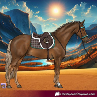 Horse Color:Chocolate Palomino