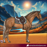 Horse Color:Chocolate Palomino