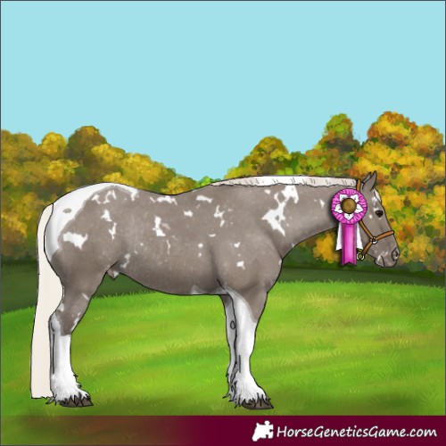 Horse Color:White Spotted Silver Grullo Tobiano Varnish Rabicano 