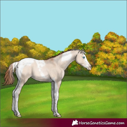 Horse Color:Brown Pearl Dun Mushroom Splash Tobiano