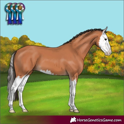 Horse Color:Bay Mushroom Splash 