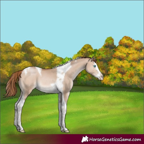 Horse Color:Brown Pearl Dun Mushroom Splash Tobiano 