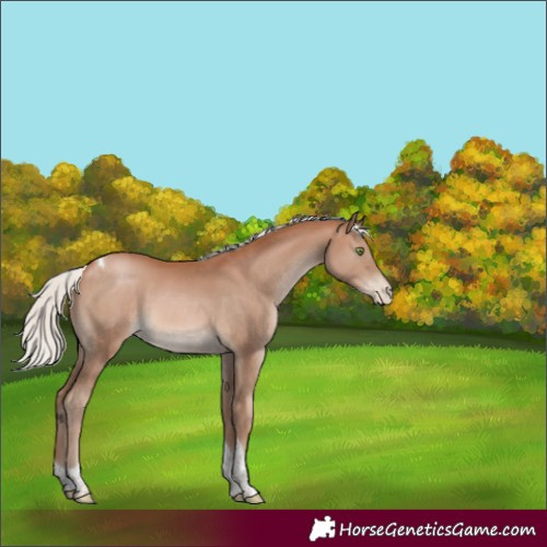Horse Color:Silver Brown Pearl Tobiano 