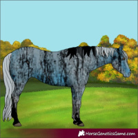 Horse Color:ERROR: UNKNOWN ANOMALY