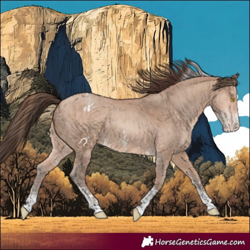 Horse Color:Amber Champagne Sabino Tobiano Appaloosa  and Amber Champagne Sabino Tobiano Appaloosa 
