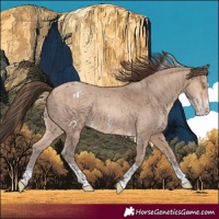 Horse Color:Amber Champagne Sabino Tobiano Varnish  and Amber Champagne Sabino Tobiano Varnish 