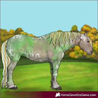 Horse Color:Painted Silver Black Ice 