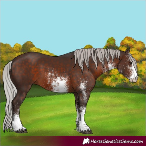 Horse Color:White Spotted Silver Brown 