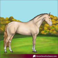 Horse Color:White Spotted Red Dun Pearl 