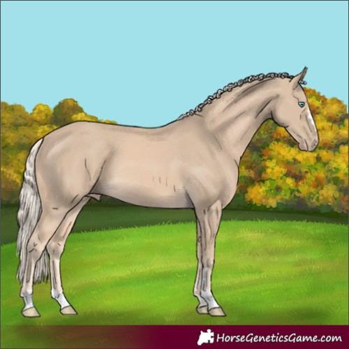 Horse Color:Cremello