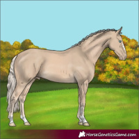 Horse Color:Cremello 