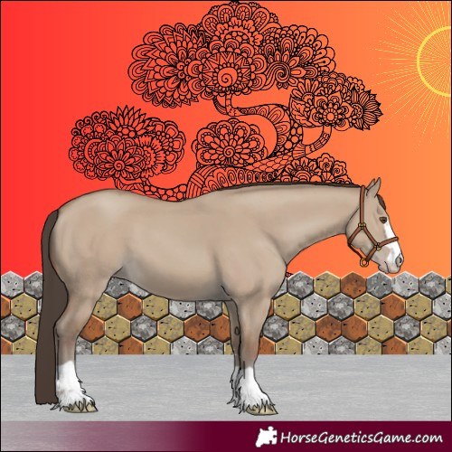 Horse Color:Unknown 
