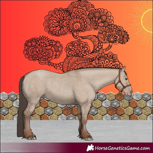 Horse Color:Unknown 