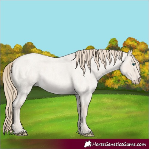 Horse Color:Smoky Creme Roan Dun 