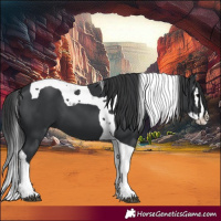 Horse Color:Black Splash Tobiano 