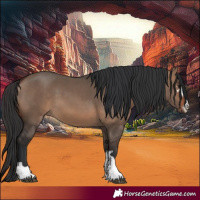 Horse Color:Brown Dun 