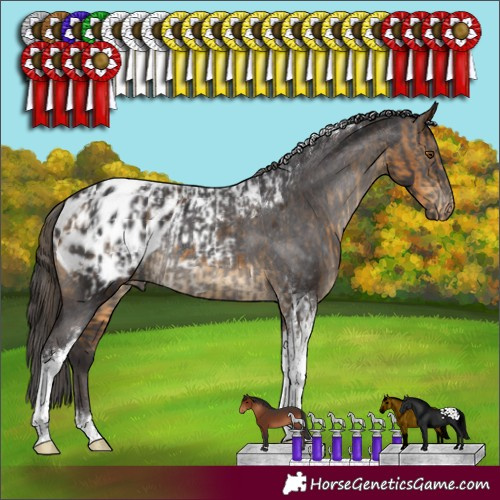 Horse Color:Buckskin Tobiano Appaloosa Rabicano  and Smoky Black Tobiano Appaloosa Rabicano 