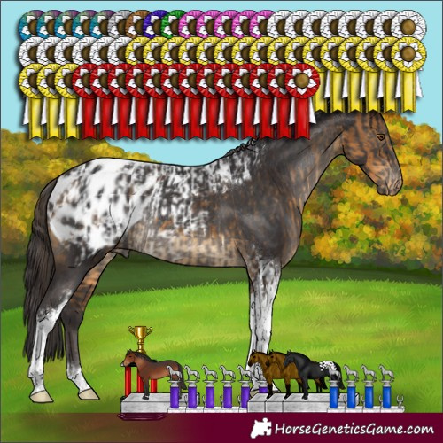 Horse Color:Buckskin Tobiano Blanket Rabicano  and Smoky Black Tobiano Blanket Rabicano 