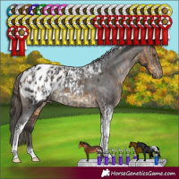 Horse Color:Buckskin Tobiano Appaloosa Rabicano and Smoky Black Tobiano Appaloosa Rabicano