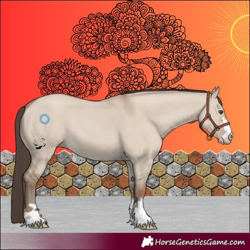 Horse Color:Classic Champagne Dun 