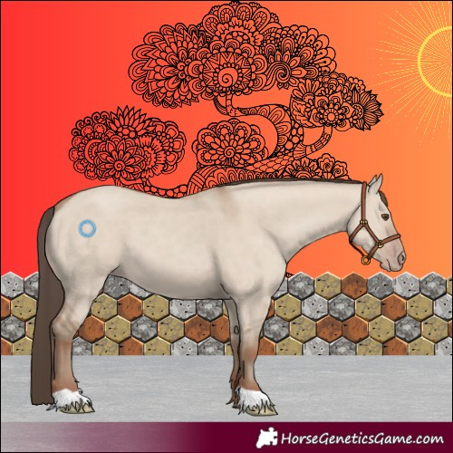 Horse Color:Classic Champagne Dun 