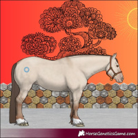 Horse Color:Classic Champagne Dun 