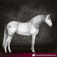 Horse Color:Gray White Spotted Grullo  and Gray White Spotted Grullo 