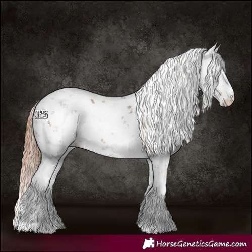 Horse Color:Chestnut Sabino