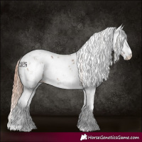 Horse Color:Chestnut Sabino 