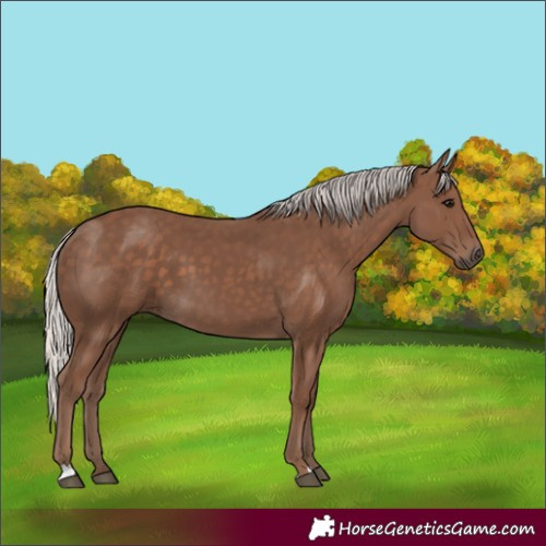 Horse Color:Silver Black 