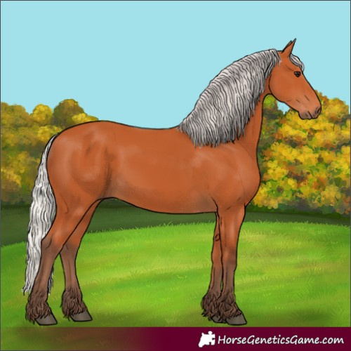 Horse Color:Silver Bay 