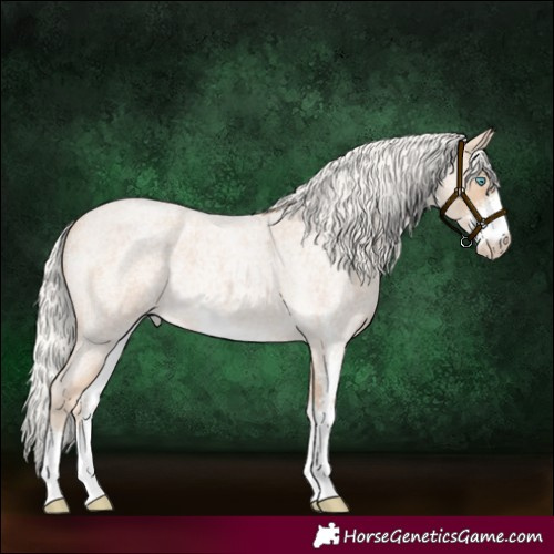 Horse Color:Silver Perlino Roan Sabino 