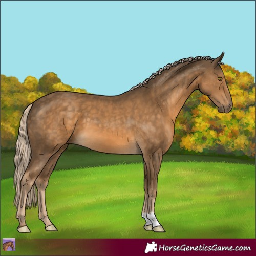 Horse Color:Chocolate Palomino 
