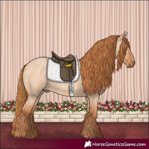 Horse Color:Red Dun Roan 