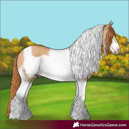Horse Color:Red Dun Tobiano Frame 