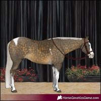 Horse Color:Silver Buckskin Splash Tobiano 