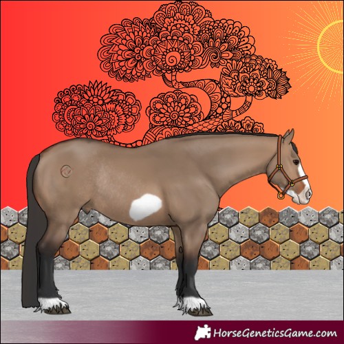 Horse Color:Brown Dun Frame Rabicano 