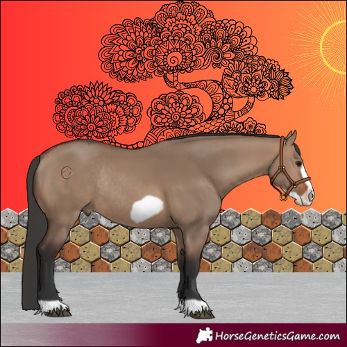 Horse Color:Brown Dun Frame Rabicano