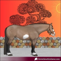 Horse Color:Brown Dun Frame Rabicano 