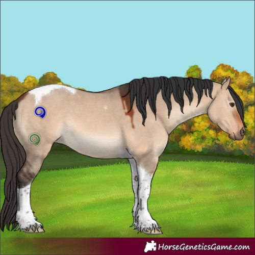 Horse Color:Bay Dun Tobiano